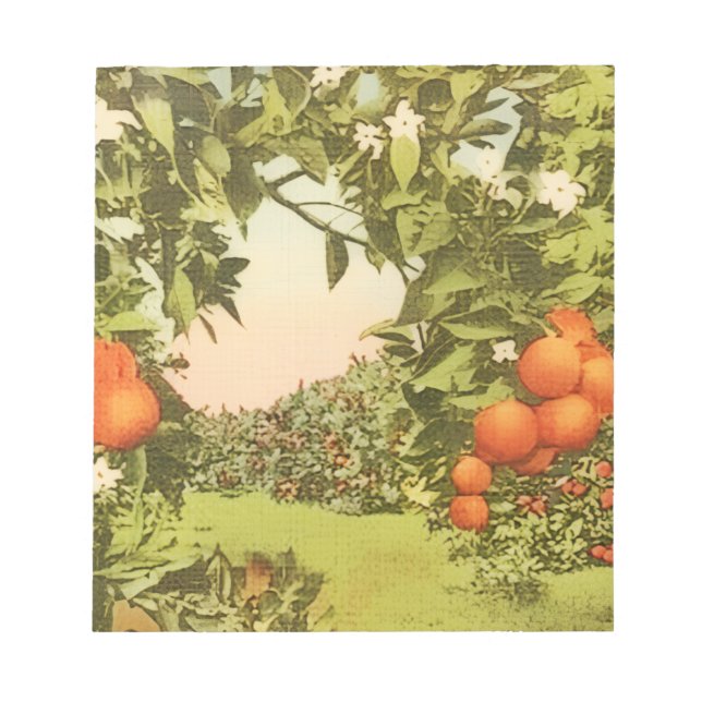 Bloco De Notas Pomar de Laranja Vintage (Frente)