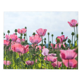 Bloco De Notas Poppies Rosa