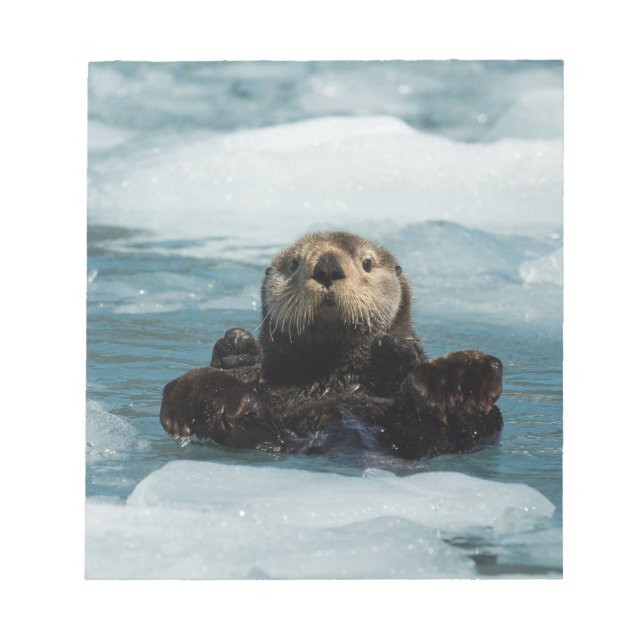 Bloco De Notas Porta flutuante (Frente)