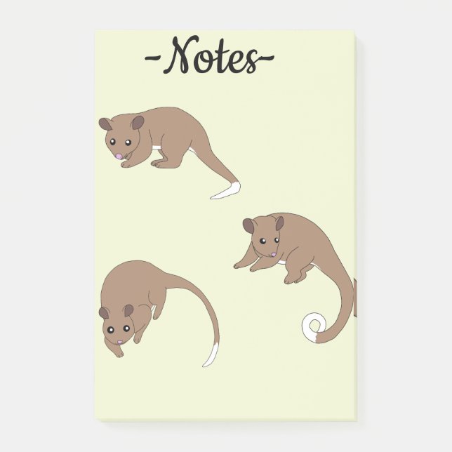 Bloco De Notas Possums de Cauda Anelada (Frente)