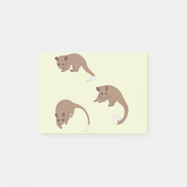 Bloco De Notas Possums de Cauda Anelada (Frente)