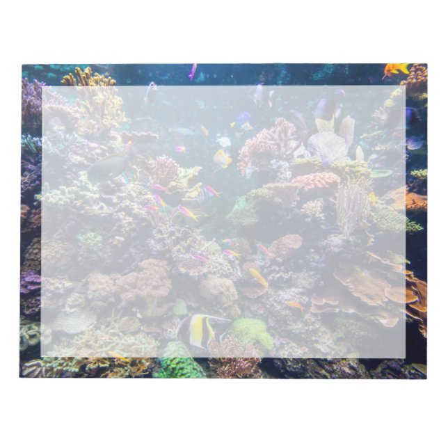 Bloco De Notas Praias Tropicais | Coral submarino (Frente)