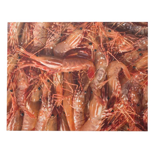 Bloco De Notas Prawns Deliciosos (Frente)