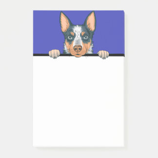 Bloco De Notas Presentes de sobra australiano de porco-boi azul-a