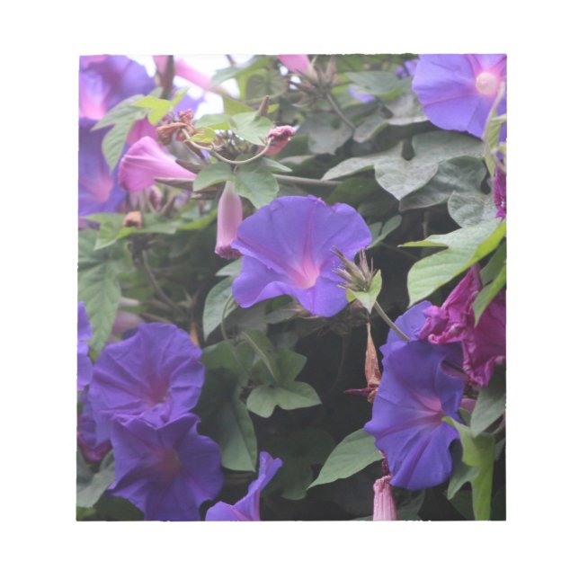 Bloco De Notas Primavera Morning Glories in Blue (Frente)