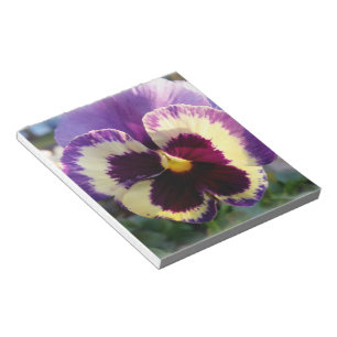 Bloco De Notas primavera Pansy colorido