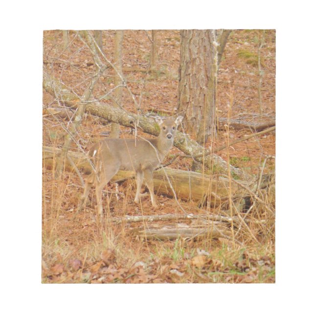 Bloco De Notas Primeiro inverno do Baby Deer (Frente)