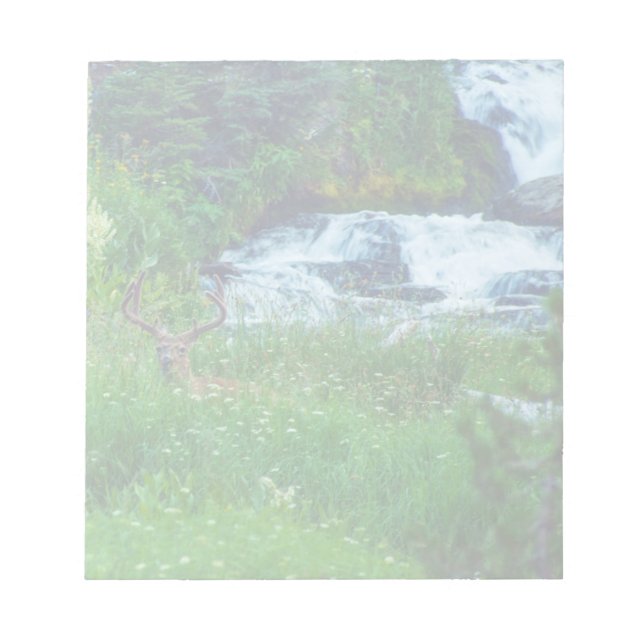 Bloco De Notas Príncipe da Floresta (Frente)