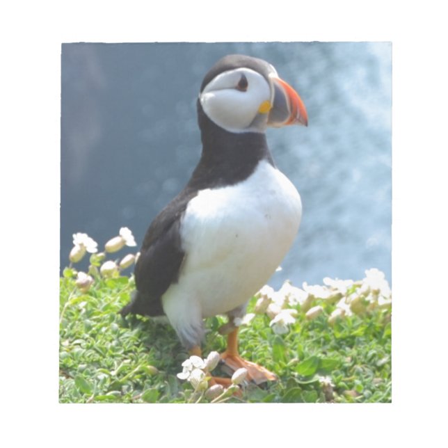 Bloco De Notas Puffin resfolegando (Frente)
