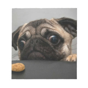 Bloco De Notas Pug