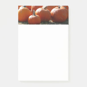 Bloco De Notas Pumpkins Foto para Queda, Dia das Bruxas ou Ação d