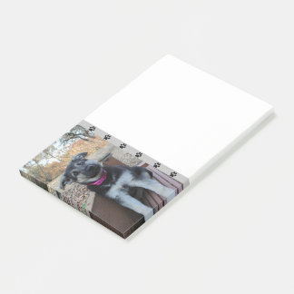 Bloco De Notas Puppy aguarda as notas Postadas das escadas