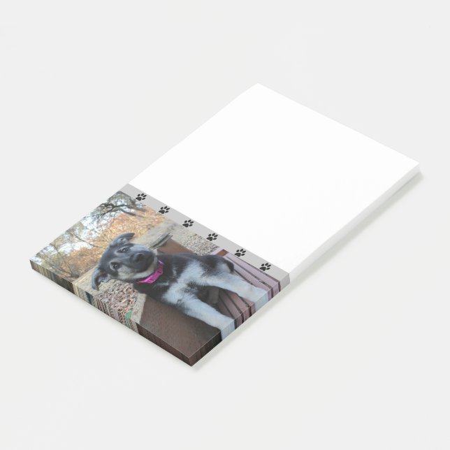 Bloco De Notas Puppy aguarda as notas Postadas das escadas (Inclinado)