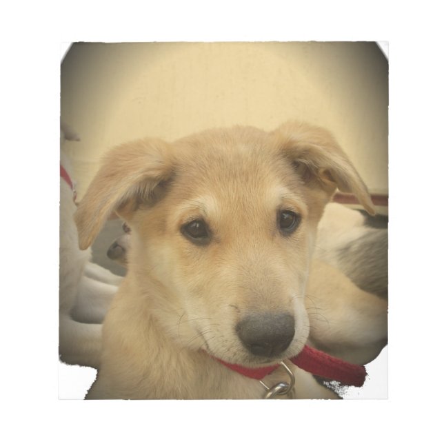 Bloco De Notas Puppy Love: Melhor Amigo do Homem (Frente)