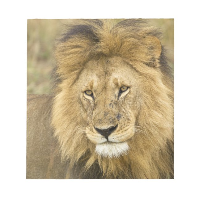 Bloco De Notas Quênia Masai Mara (Frente)