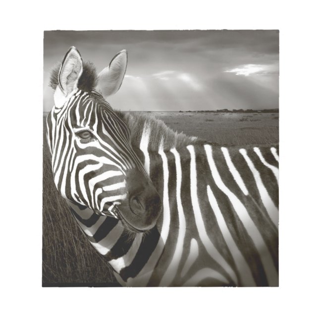Bloco De Notas Quênia. Preto e branco de zebra e planície. (Frente)
