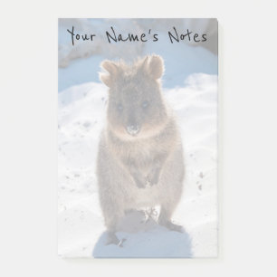 Bloco De Notas Quokka personalizada e feliz na praia