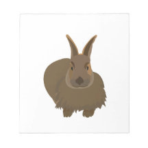 Rabbit Bunny