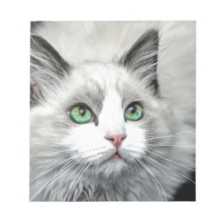 Bloco De Notas Ragdoll Cat.