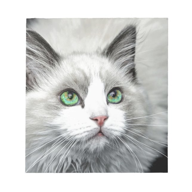 Bloco De Notas Ragdoll Cat. (Frente)