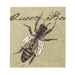 Bloco De Notas Rainha Bee Wildlife Inseto Insetório