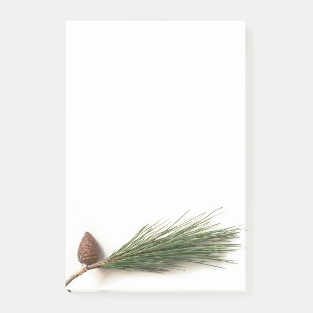 Bloco De Notas Ramificação do pinheiro com os pinecones (Frente)