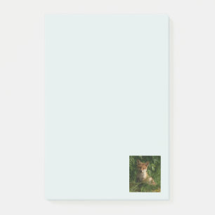 Bloco De Notas Raposa-bebê-branca numa Floresta Verde