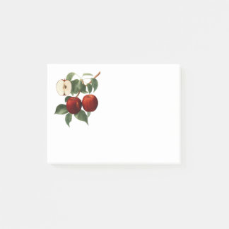 Bloco De Notas Red Apples Botanical Teacher Name 4x3