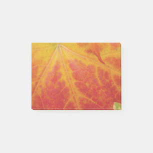 Bloco De Notas Red Maple Leaf Abstract Autumn Nature Photography