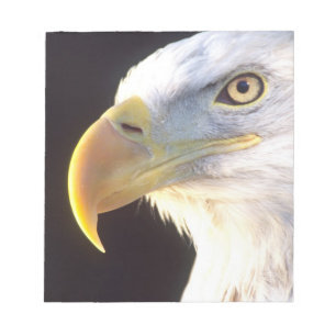Bloco De Notas Retrato de Águia Americana, Haliaeetus leucocephal