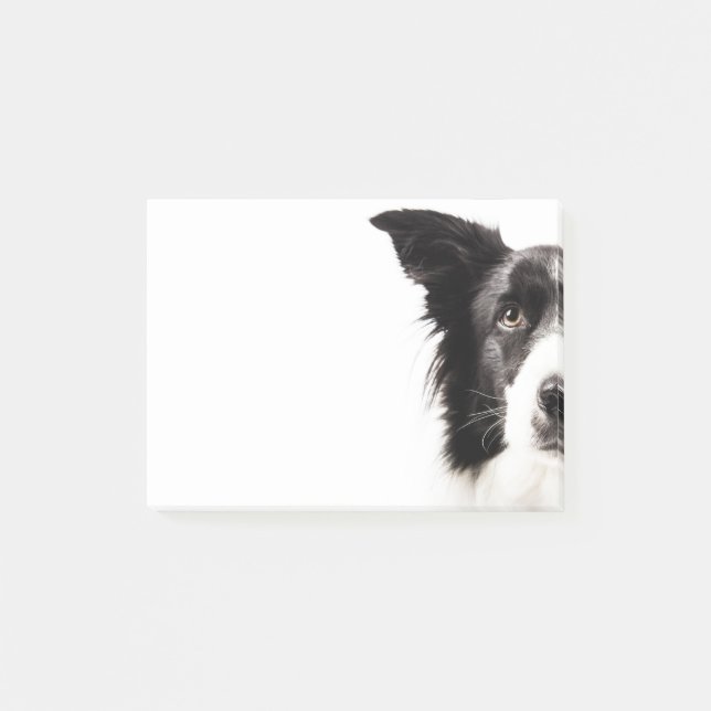 Bloco De Notas Retrato de border collie (Frente)