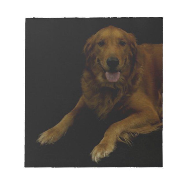 Bloco De Notas Retriever de ouro (Frente)
