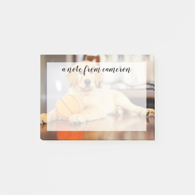 Bloco De Notas Retriever Ouro Com Brinquedo De Basquete (Frente)