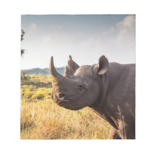 Bloco De Notas Rhino Notepad