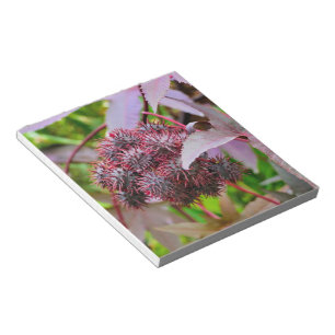 Bloco De Notas Ricinus communis