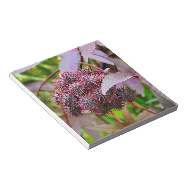 Bloco De Notas Ricinus communis (Inclinado)