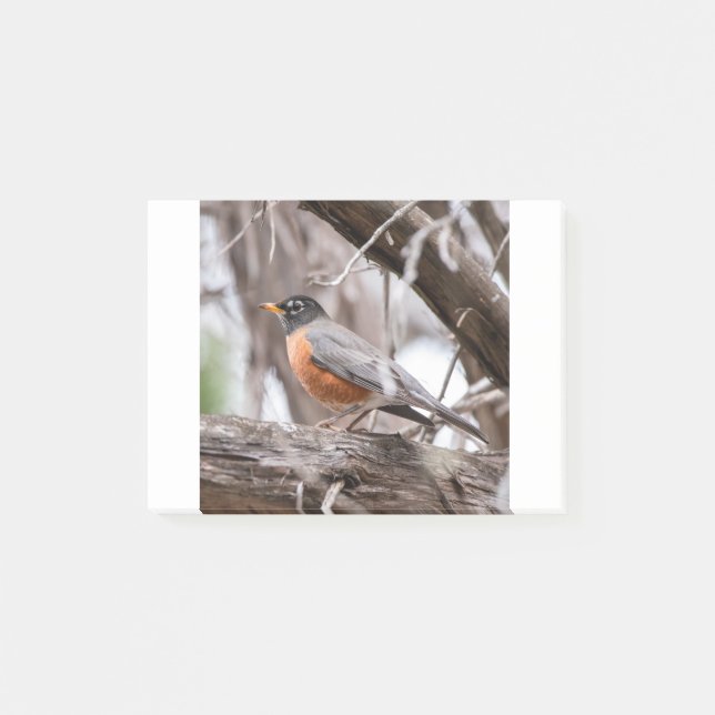 Bloco De Notas Robin in the trees (Frente)