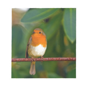 Bloco De Notas Robin Natal