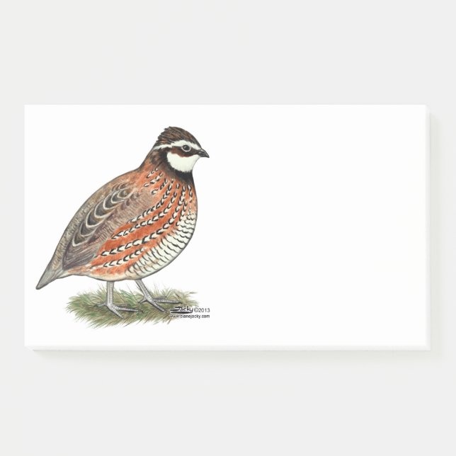 Bloco De Notas Rooster Bobwhite Quail (Frente)