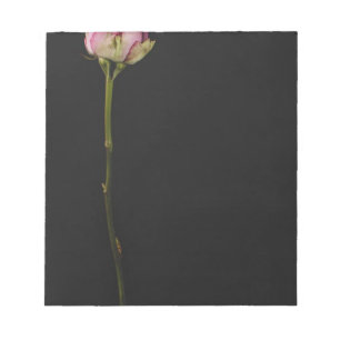 Bloco De Notas Rosa 3 do rosa