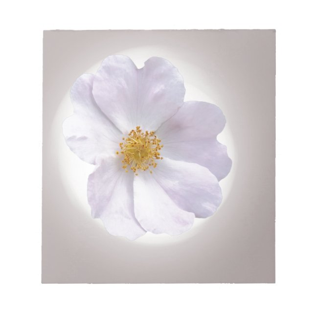 Bloco De Notas rosa a roxo (Frente)