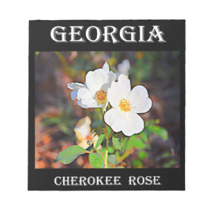 Bloco De Notas Rosa de Georgia Cherokee
