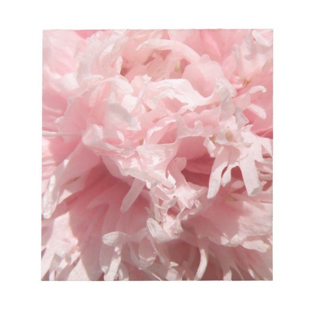 Bloco de notas rosa pálido e bonito (Frente)
