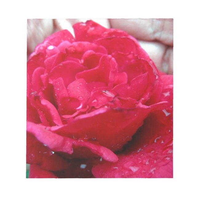 Bloco De Notas Rosa vermelha (Frente)