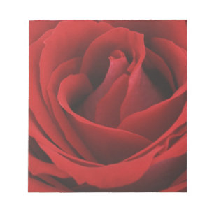 Bloco De Notas Rosa vermelha de florescência