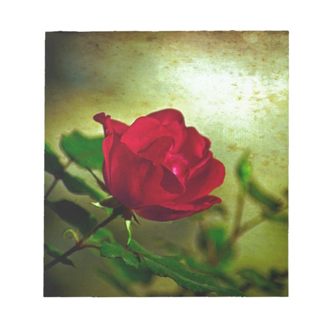 Bloco De Notas Rosa vermelha Gótica do Jardim Místico (Frente)