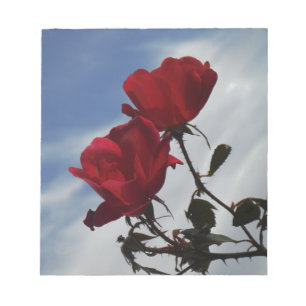 Bloco De Notas Rosas vermelhas contra o céu azul brilhante