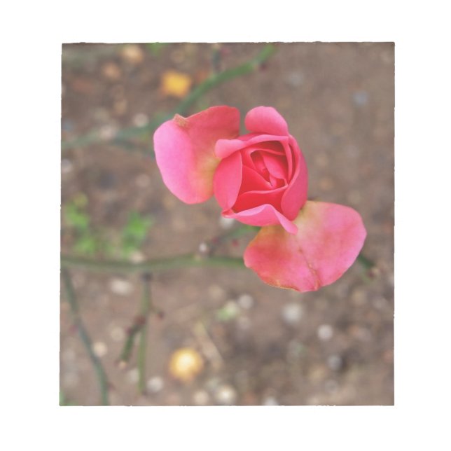 Bloco De Notas Rosebud de novembro (Frente)