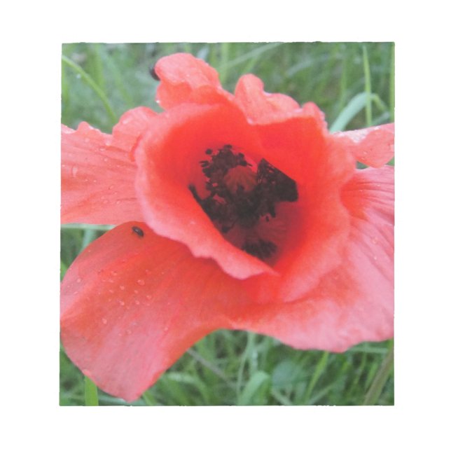 Bloco De Notas Roter Mohnblumenkelch (Frente)