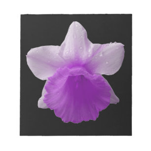Bloco de Notas Roxo Daffodil